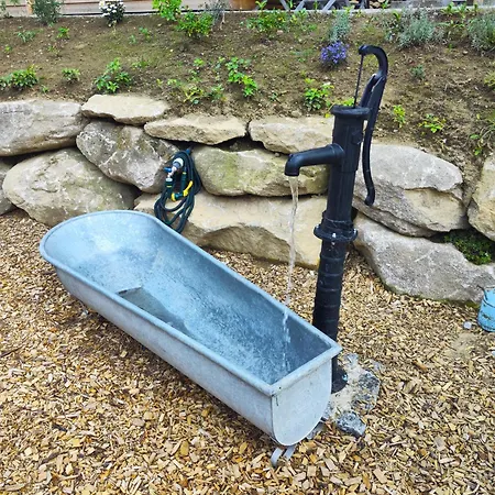 Vronichalets - Tiny Mit Sauna 木屋